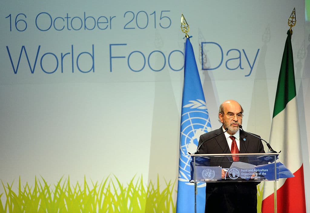 En el Día Mundial de la Alimentación, ¡tomemos conciencia!