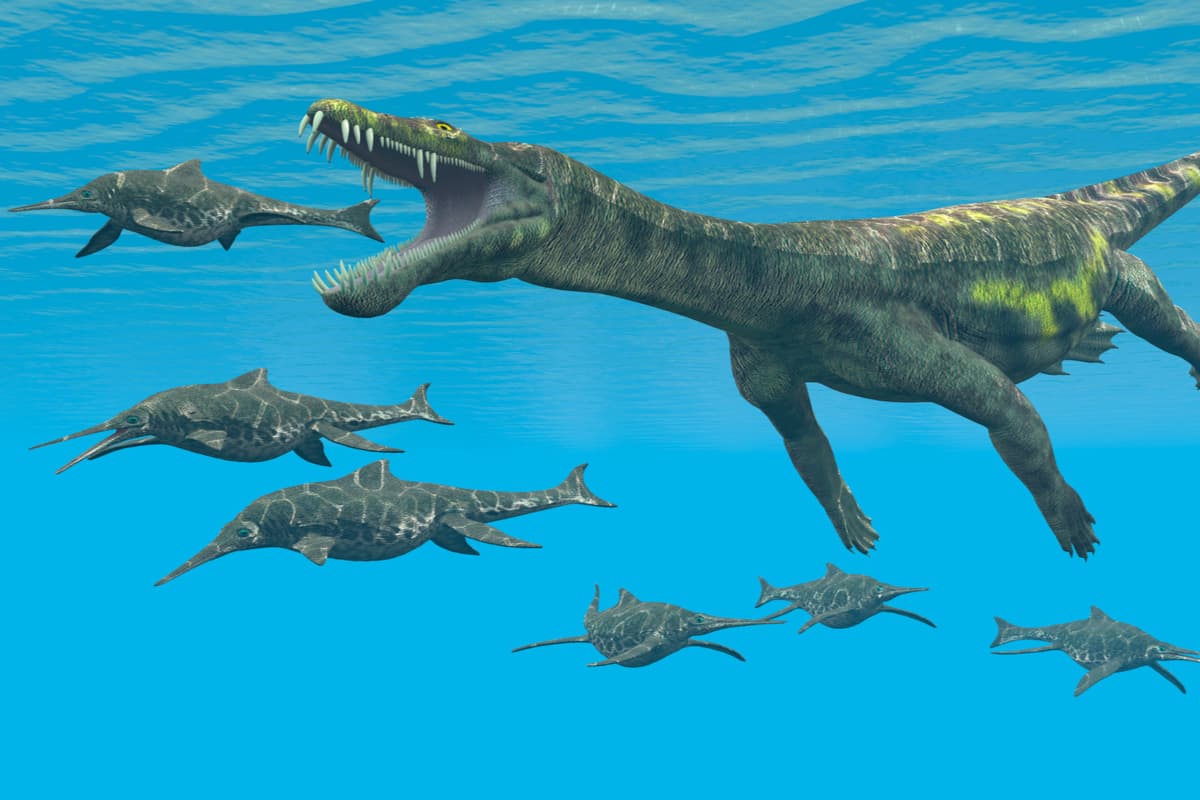 Un huevo descubierto en la Antártica podría dar respuestas a cómo era la vida marina hace 66 millones de años