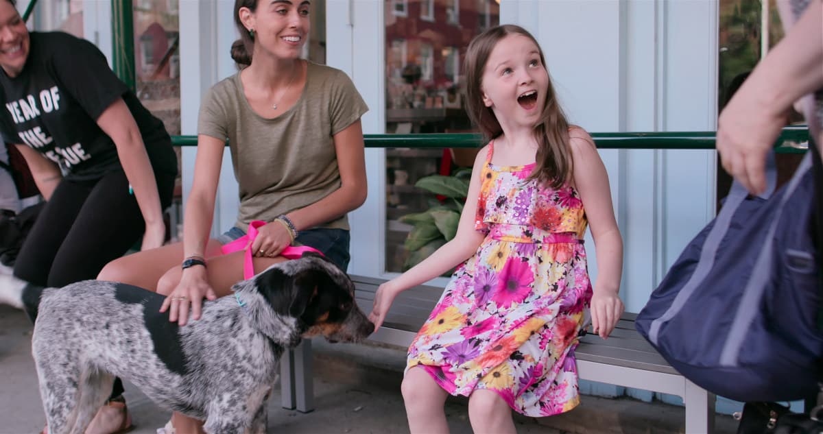 Si también amas a los perros, Netflix tiene una nueva serie que te va a EMOCIONAR