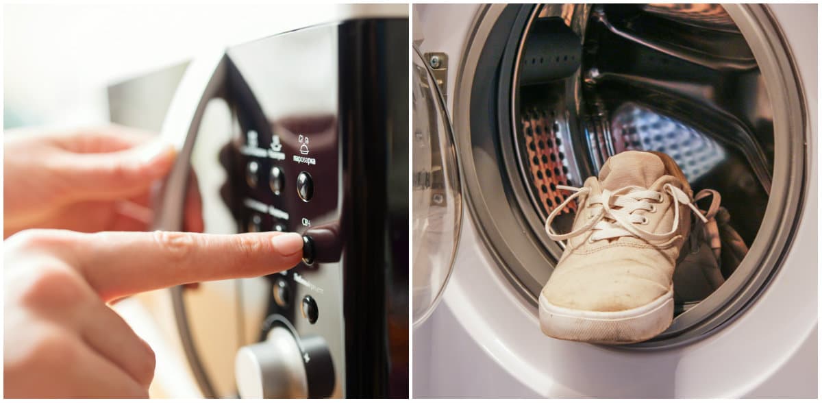 A punto de irte a vivir solo: ¿cuál de estas cosas elegirías? (Solo puedes elegir una)