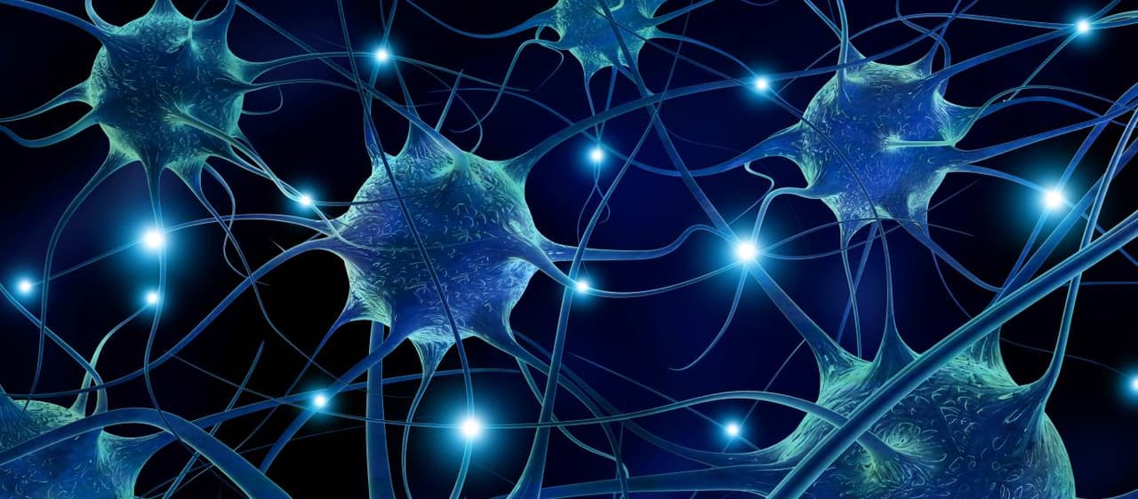 Desarrollan un chip que funciona igual que las neuronas y podría revertir la parálisis