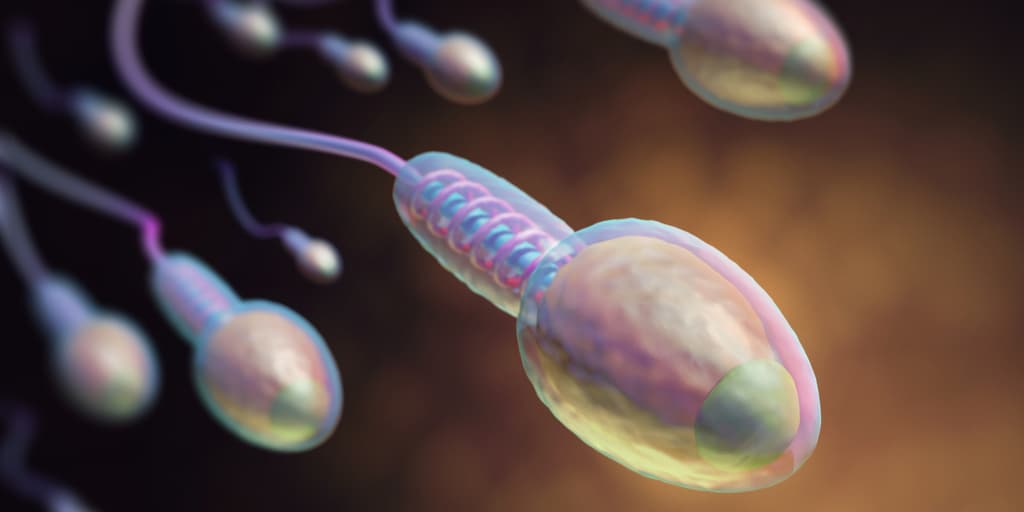 La cantidad de esperma de los hombres en países ricos ha disminuido en los últimos 40 años