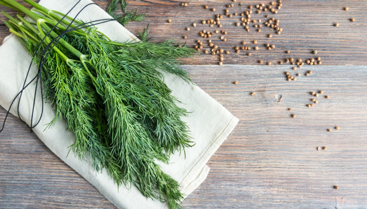 Jugo contra la gastritis y el reflujo: nutricionista enseña la receta «que cura»