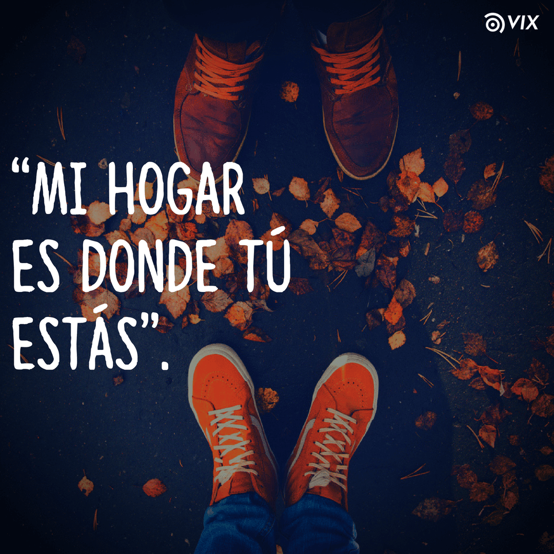 11 frases de "The Notebook" que reflejan lo que sientes por ESA persona