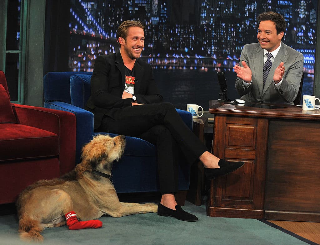 Ryan Gosling y otros actores COMESTIBLES que rescataron y adoptaron perros
