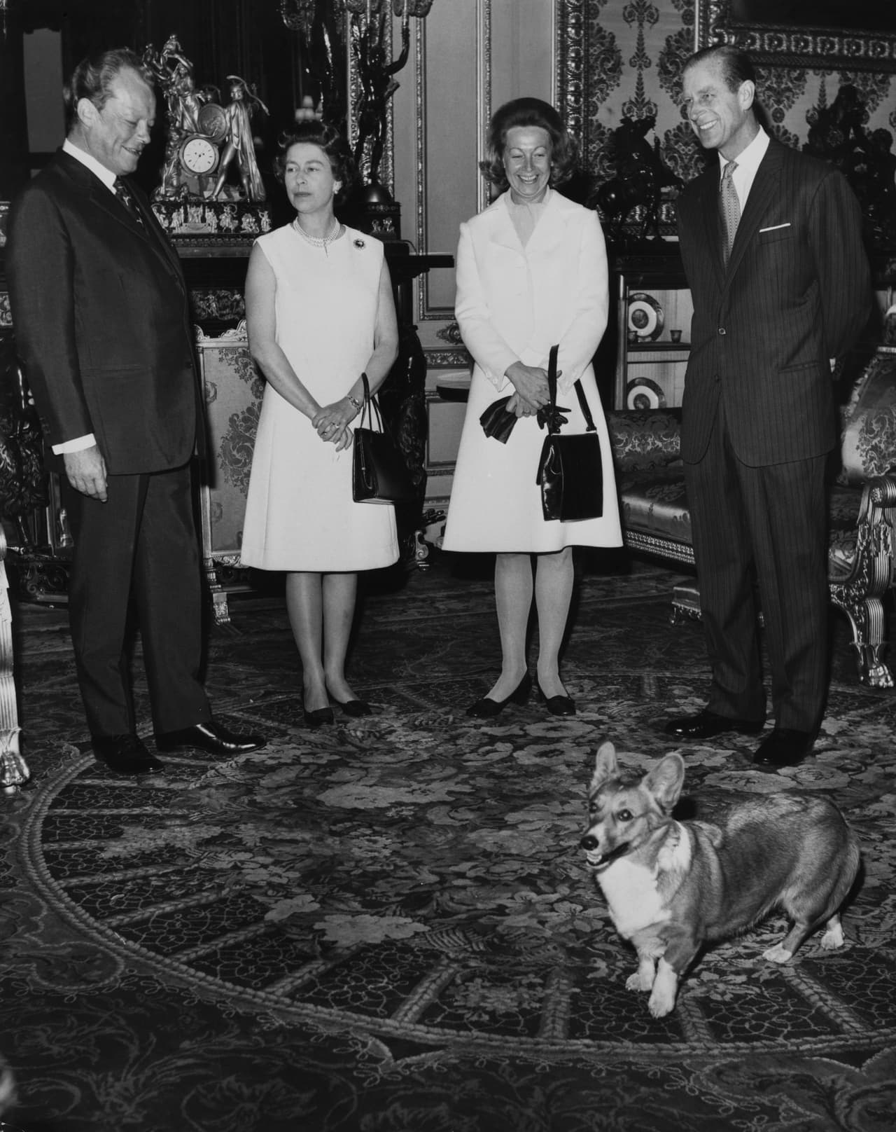 ¿Recuerdas a tu primer perrito? Esta es la historia de Willow, el corgi de la Reina Isabel