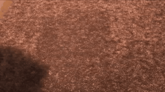 Mis padres querían que fuera niño genio e hicieron estas locuras