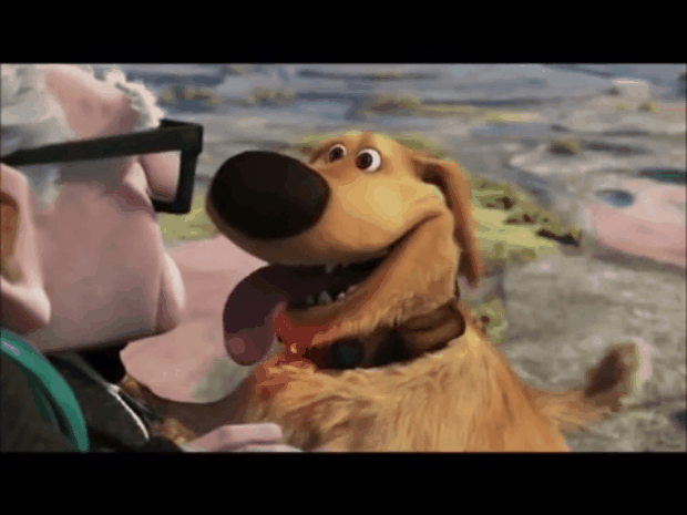 Esto es lo que no sabías de las ardillas pandilleras de Chapultepec