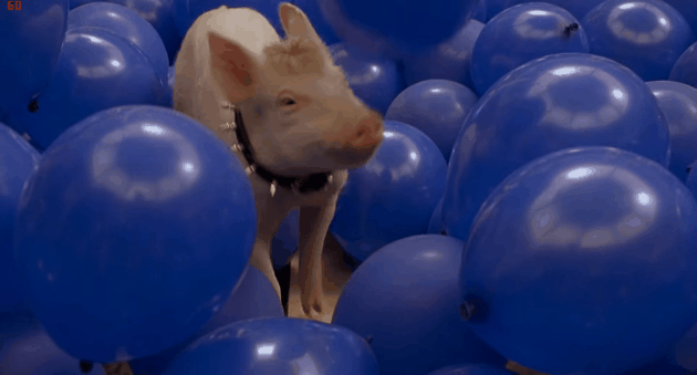 5 papeles que le cambiaron la vida para siempre a los actores que los interpretaron