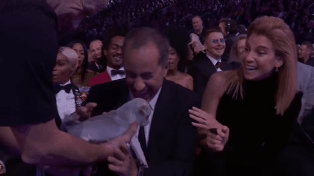 El mejor premio de consolación de los Grammy 2018 ¡PERRITOS! (Internet exigió una docena para Katy Perry)