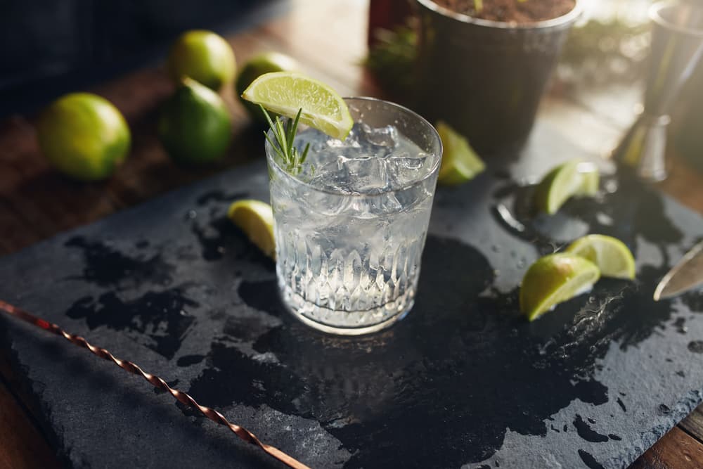 ¿Cuál es el origen del gin tonic? Conocé todo sobre el clásico del verano