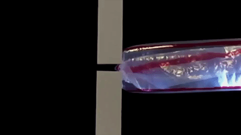 Este robot serpiente podría salvarle la vida a miles de personas en el futuro