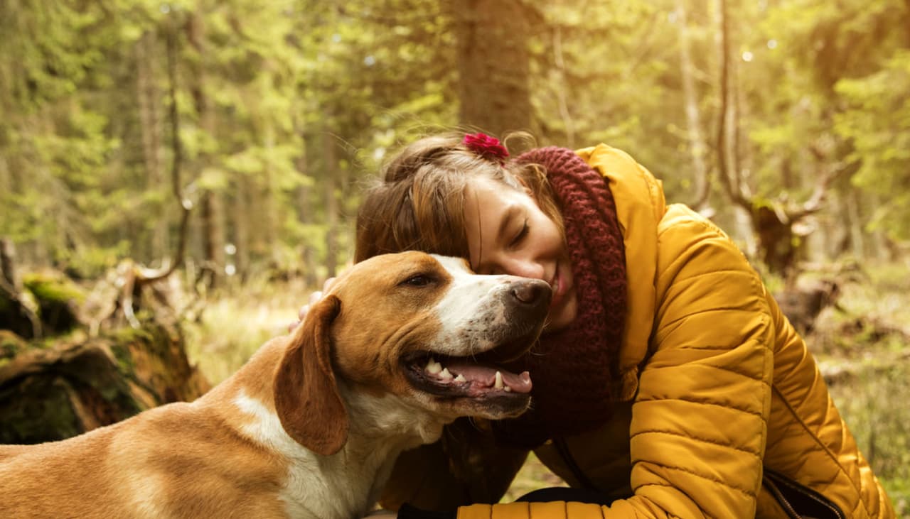 «Los cachorros también son personas» dice científico que estudió el cerebro de los perros