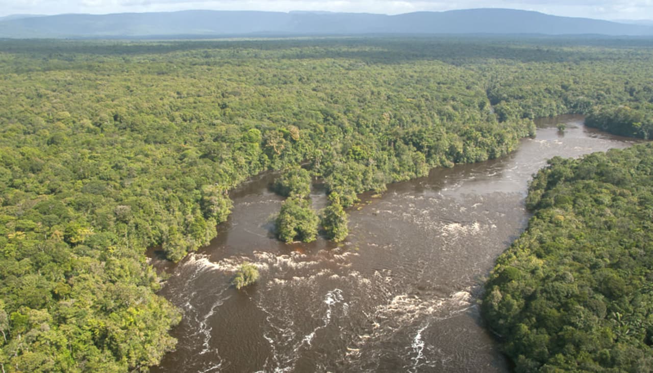 Araña azul, escarabajo acuático y otras 30 nuevas especies descubiertas en la Amazonia