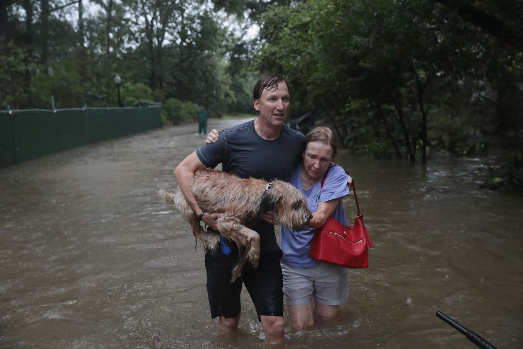 Houston: la solidaridad floreció más allá de las inundaciones