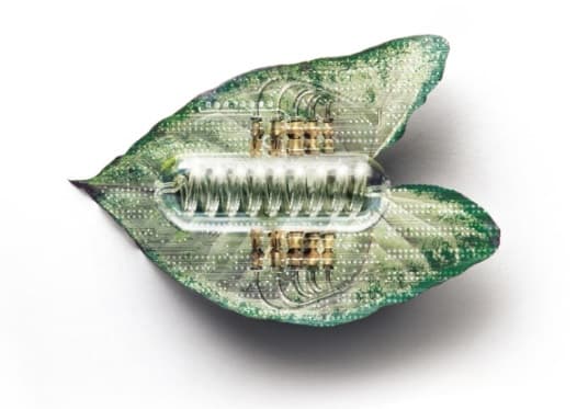 No todo fueron malas noticias en 2019: reunimos los mejores acontecimientos del año