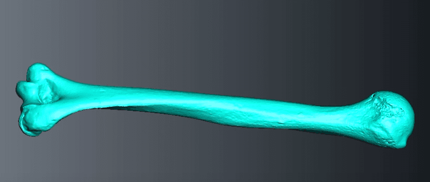 Huesos milenarios arremeten contra nuestro machismo histórico