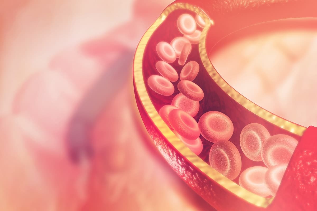 ¿Es normal tener las plaquetas bajas durante el embarazo? La ciencia responde