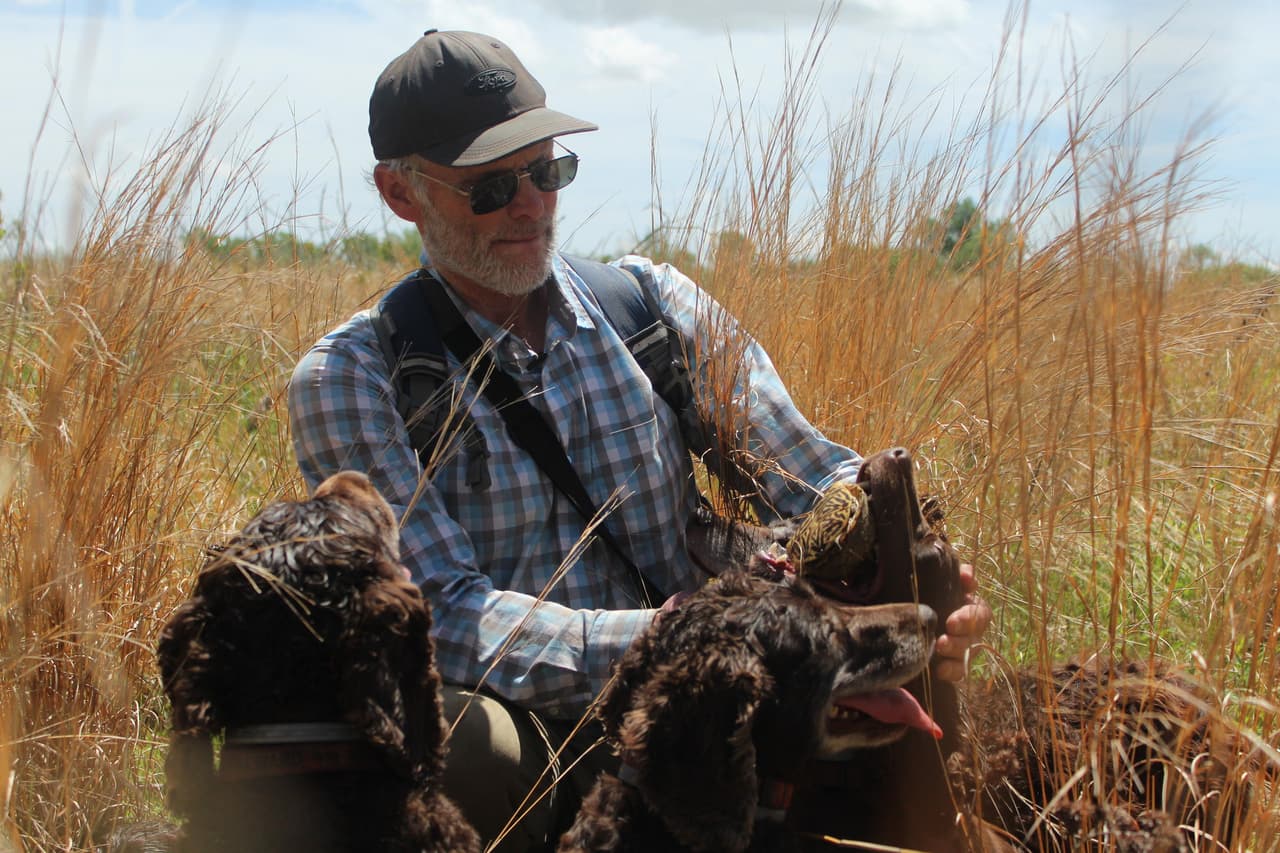 Estos adorables perros fueron entrenados para rescatar tortugas en peligro de extinción