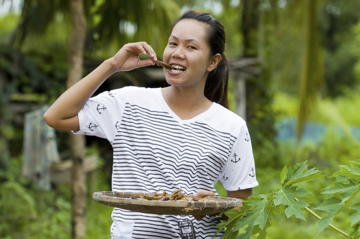 Beneficios de comer insectos