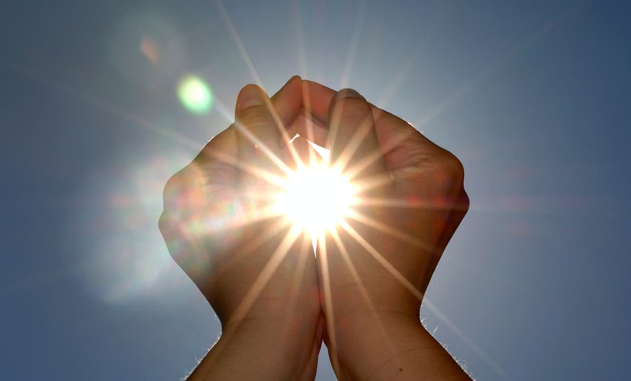 Fuentes de vitamina D