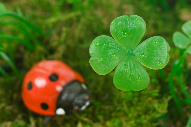 Propiedades saludables del trébol
