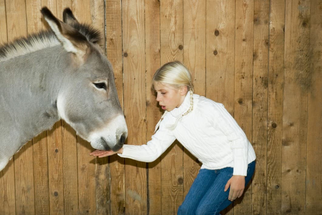Estas expresiones idiomáticas te robarán una sonrisa 