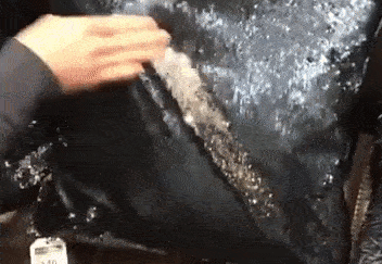 Internet está vuelto loco con estas almohadas mágicas, ¡conócelas!