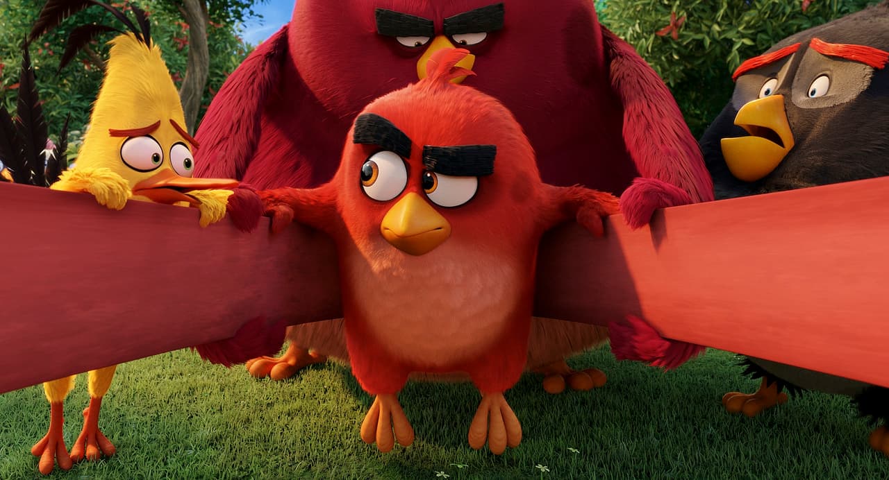 ¿Cómo lucen los pájaros de Angry Birds en la vida real? ¡Míralos aquí!