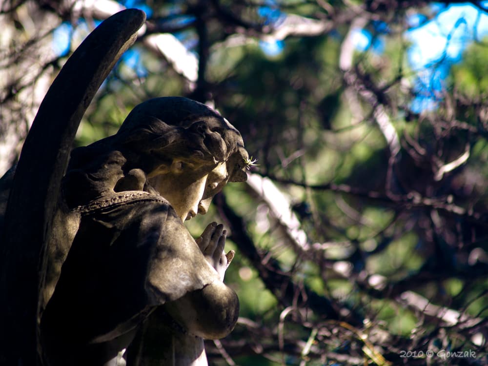 ¿Conocés la leyenda de la Aparecida del Buceo?