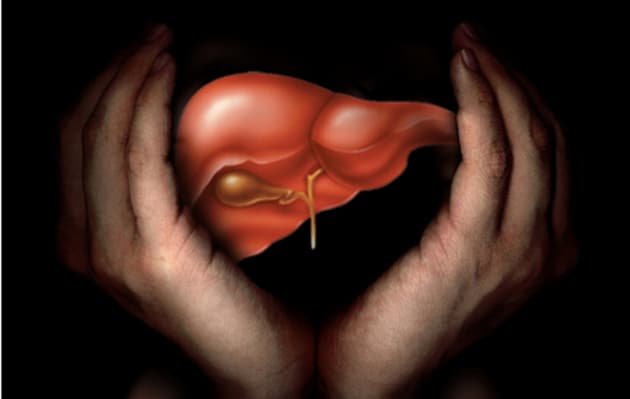 Los síntomas de una infección de hígado