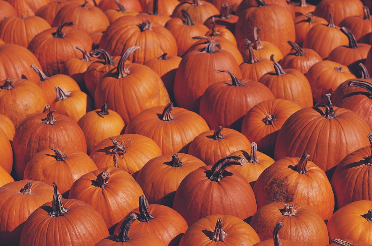 3 vegetales que ayudan a tratar la artritis