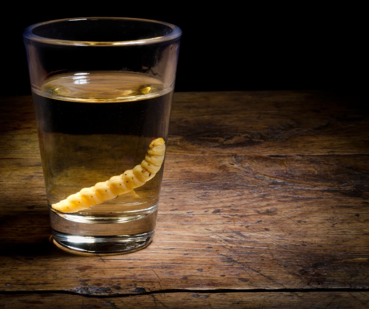 Cócteles con mezcal