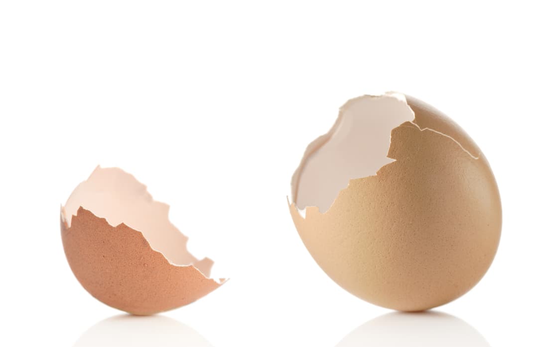 ¿Qué es un coquetier?