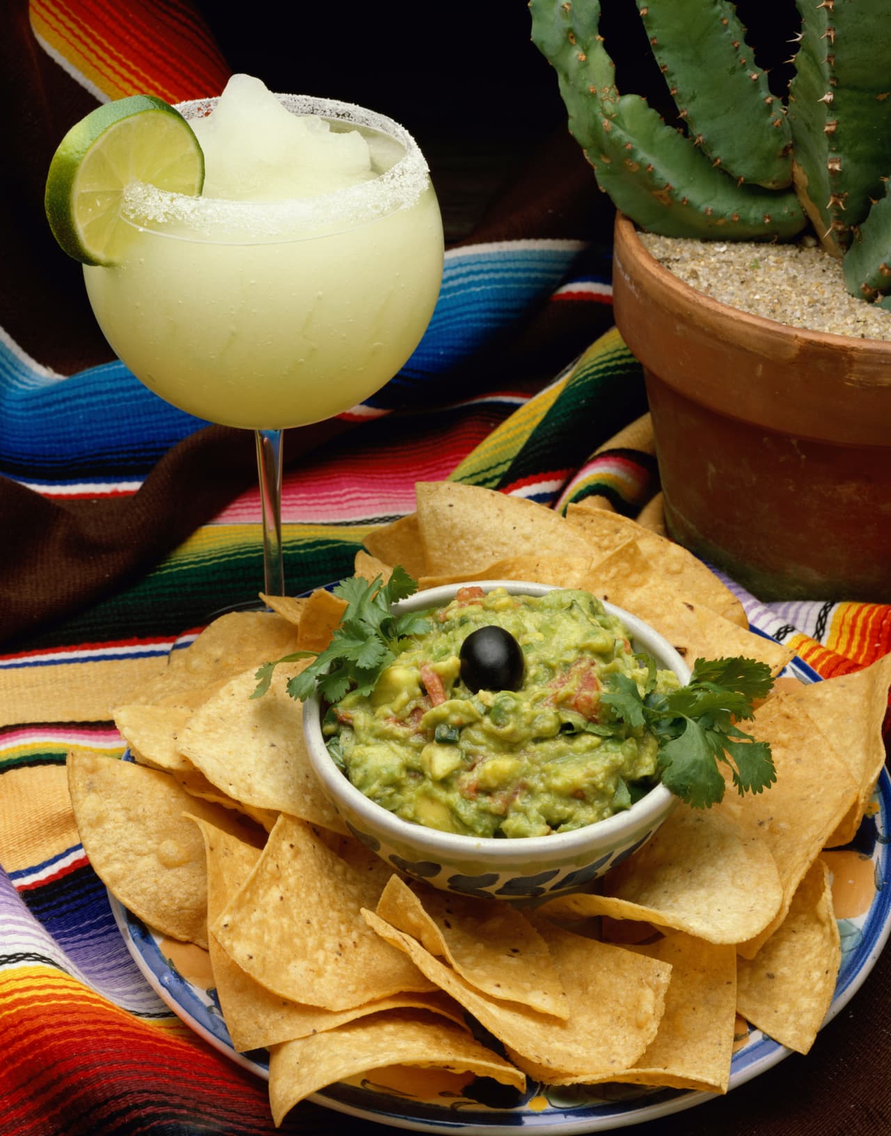 Tragos con palta: Una opción diferente