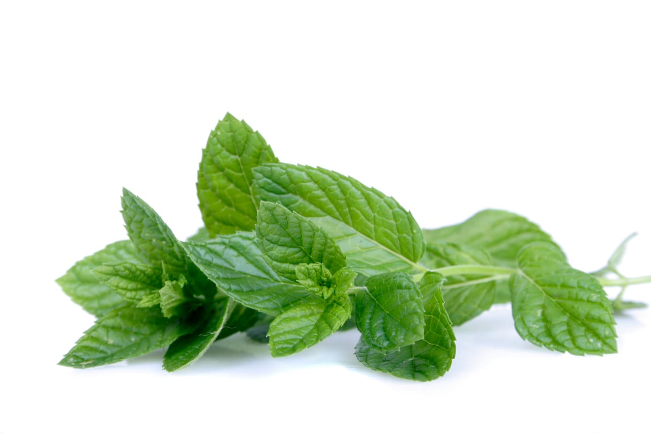 Consejos para preparar tragos con hierbas