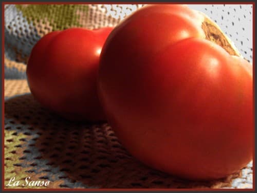 Arroz con costra ilicitano en casa