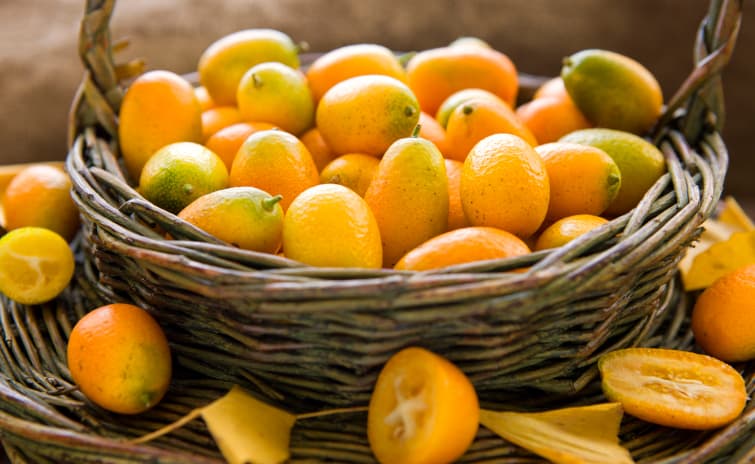 Estas 3 variantes de mojito te gustarán tanto que querrás prepararlas ya mismo