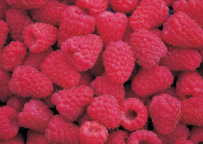 Limonada de durazno y frambuesa: una delicia tan sencilla como refrescante