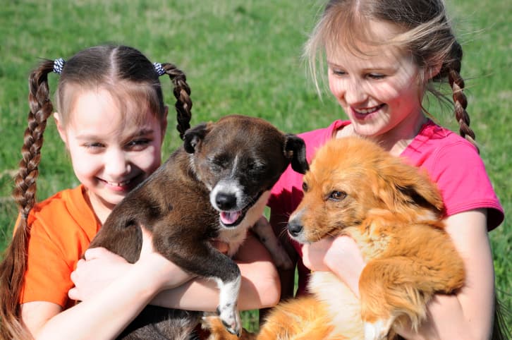Beneficios de las mascotas para los niños