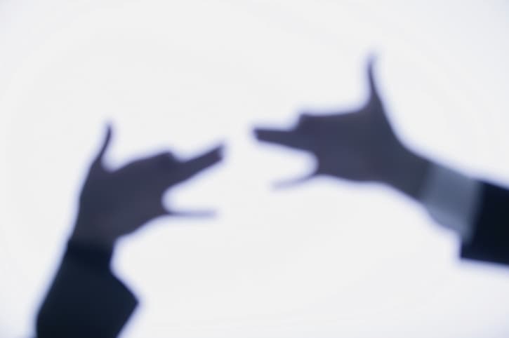 Sombras chinescas, ideales para jugar en la noche