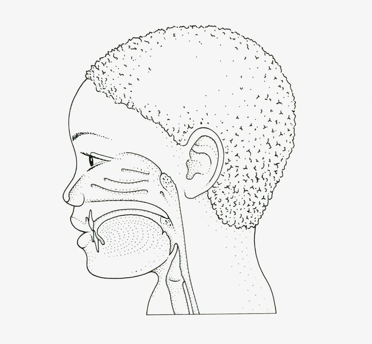 Todo sobre las adenoides en niños