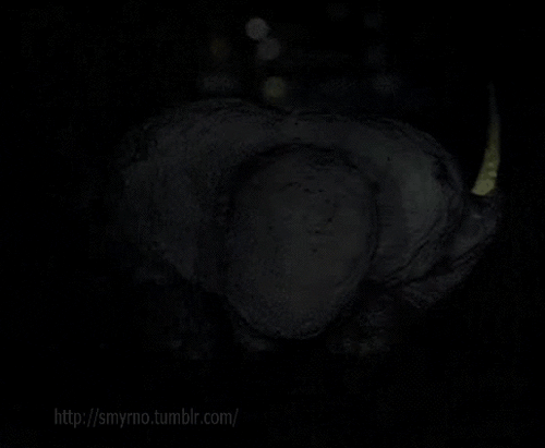 6 razones por las que nos emociona el regreso de “Los expedientes secretos X” a la TV