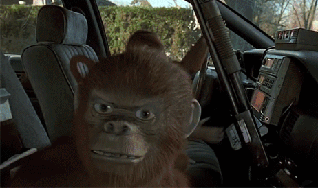 Ya pasaron más de 20 años: así se ve hoy el pequeño Peter de Jumanji