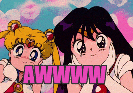 Estos perritos pasaron por el salón de belleza y el resultado es adorable 