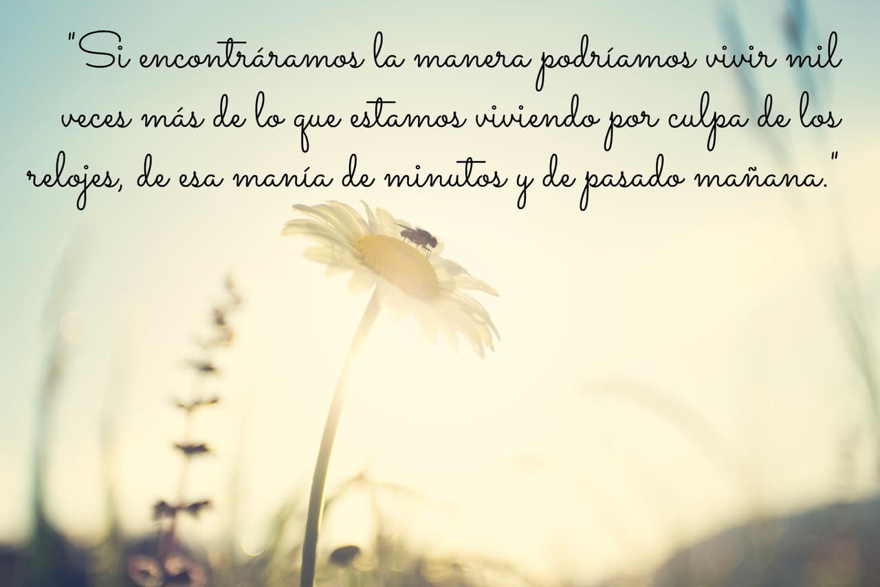 10 frases inspiradoras de Julio Cortázar que te van a encantar