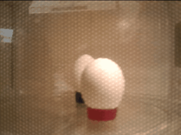 3 alimentos que JAMÁS deberías calentar en el microondas