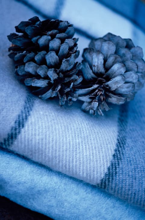 Cómo limpiar jacquard  