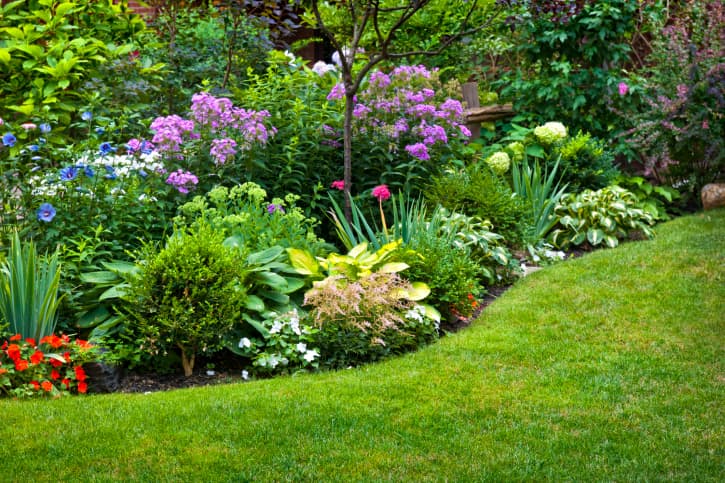 7 tips profesionales para jardineras primerizas