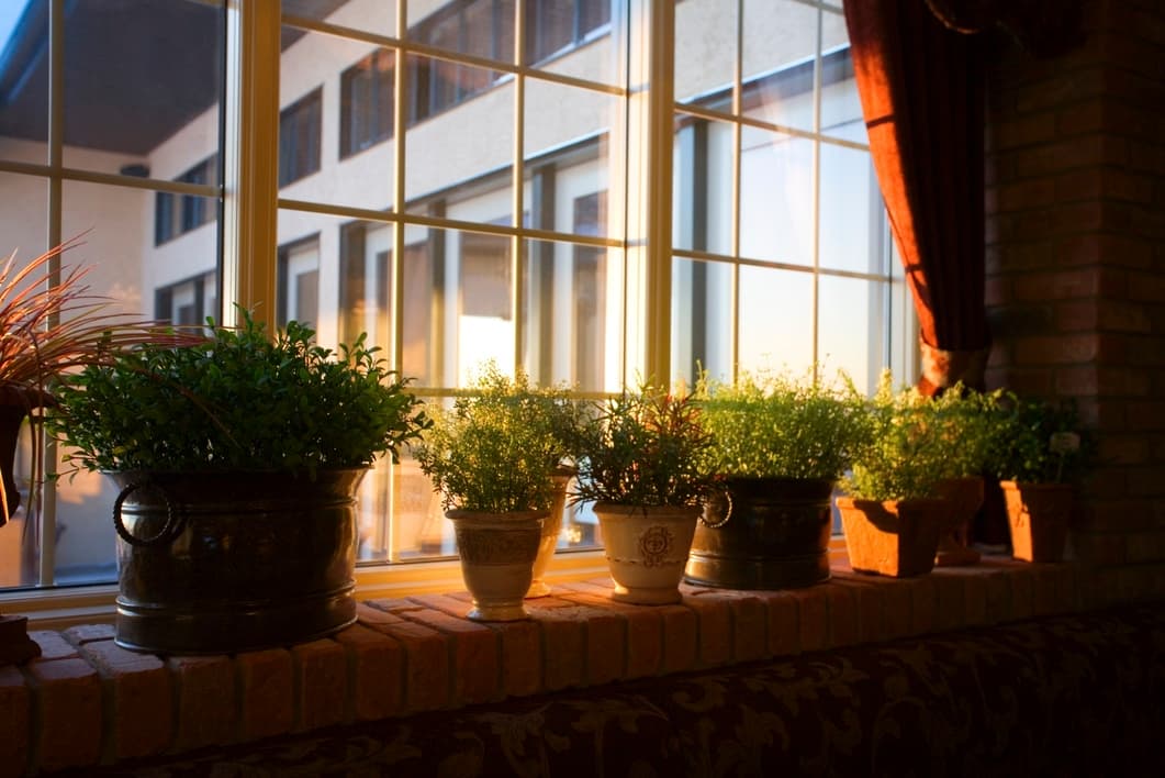 Decoración vegetal, un estilo que se impone para el hogar